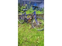 Bike rollers - Gumtree